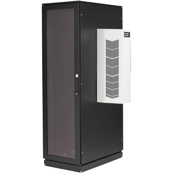 Black Box ClimateCab NEMA 12 Server Cabinet with AC - 42U, 6000BTU, M6 Rails, 120V