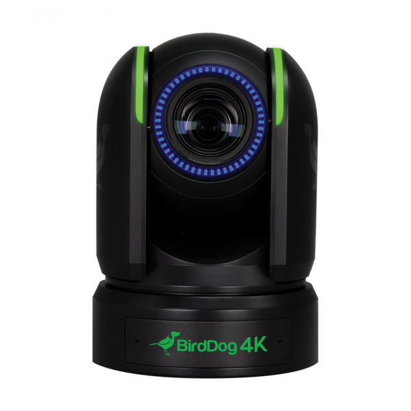 BirdDog BDP4K - P4K Black. 4K 10-Bit Full NDI PTZ with 1" Sony Sensor. Zoom Certified BirdDog