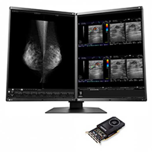 Eizo Ncnr Rx560-dh-np200 Eizo Dual Head Bundle