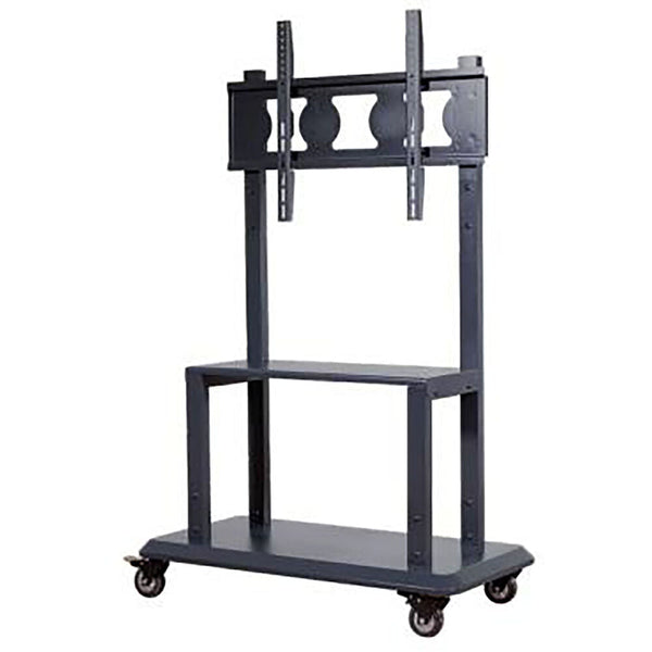 Interactive Panel Stand/Cart NEWLIN