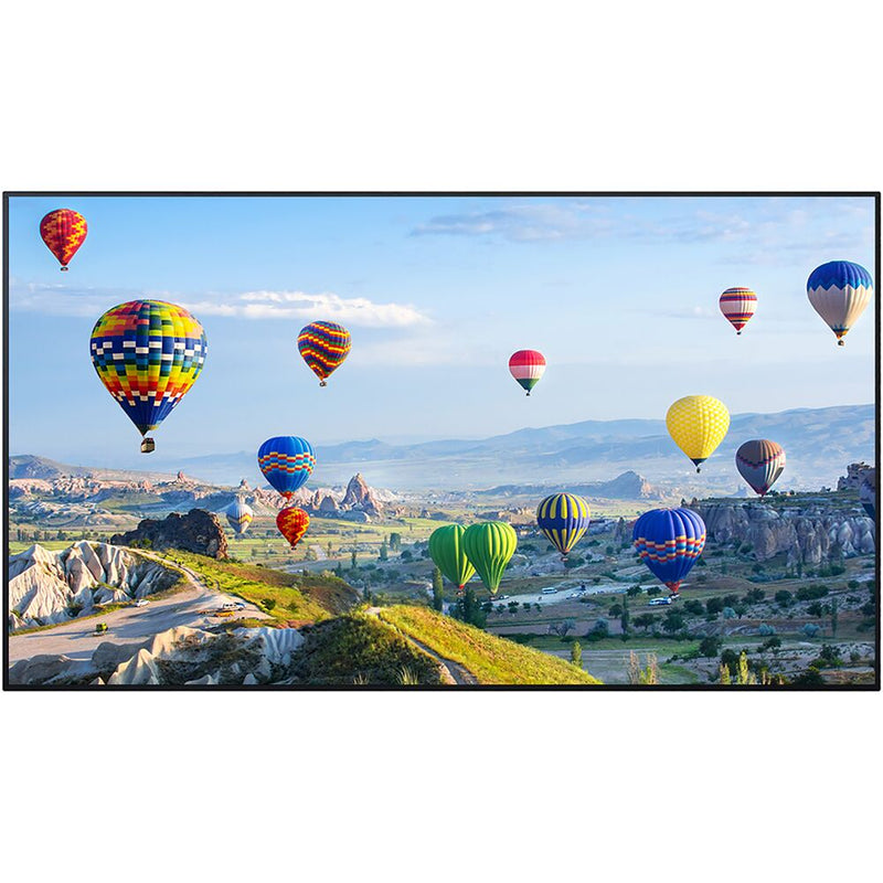 65-inch Class 4K UHD LCD Display PANPRO